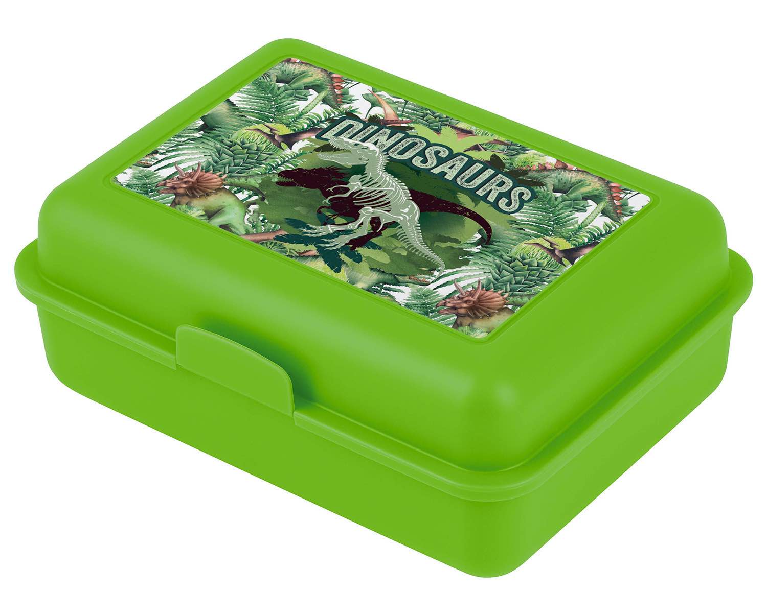 baagl-dinosaurs-bo-te-go-ter-enfant-verte-compartiment image 1
