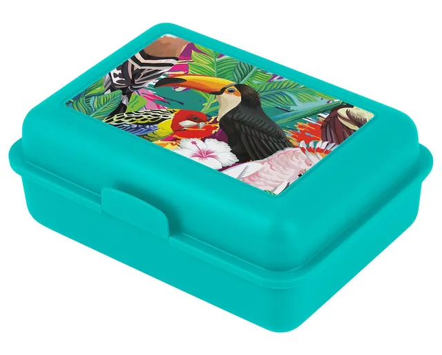 baagl-toucan-bo-te-go-ter-compartiment image 1