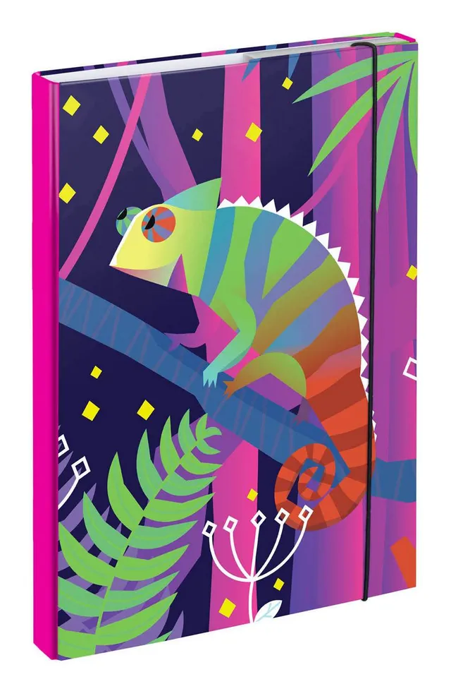baagl-heftbox-a4-chameleon-chemise-lastiques-cam-l-on image 1