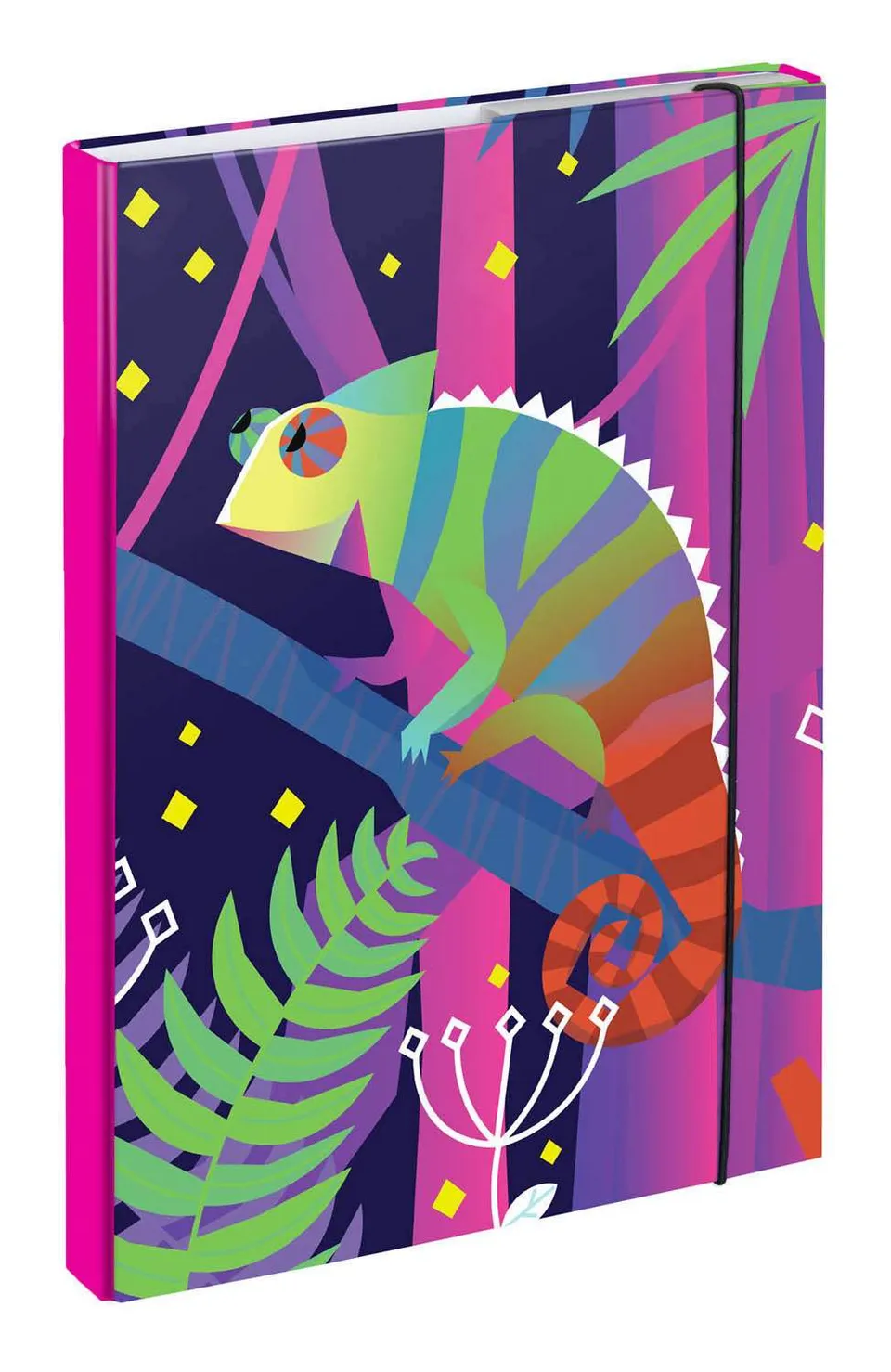 baagl-heftbox-a4-chameleon-chemise-lastiques-cam-l-on image 1