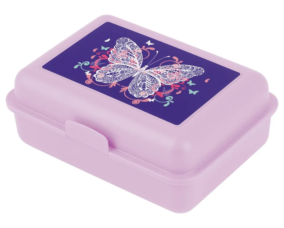 baagl-butterfly-bo-te-go-ter-papillon-violette image 1
