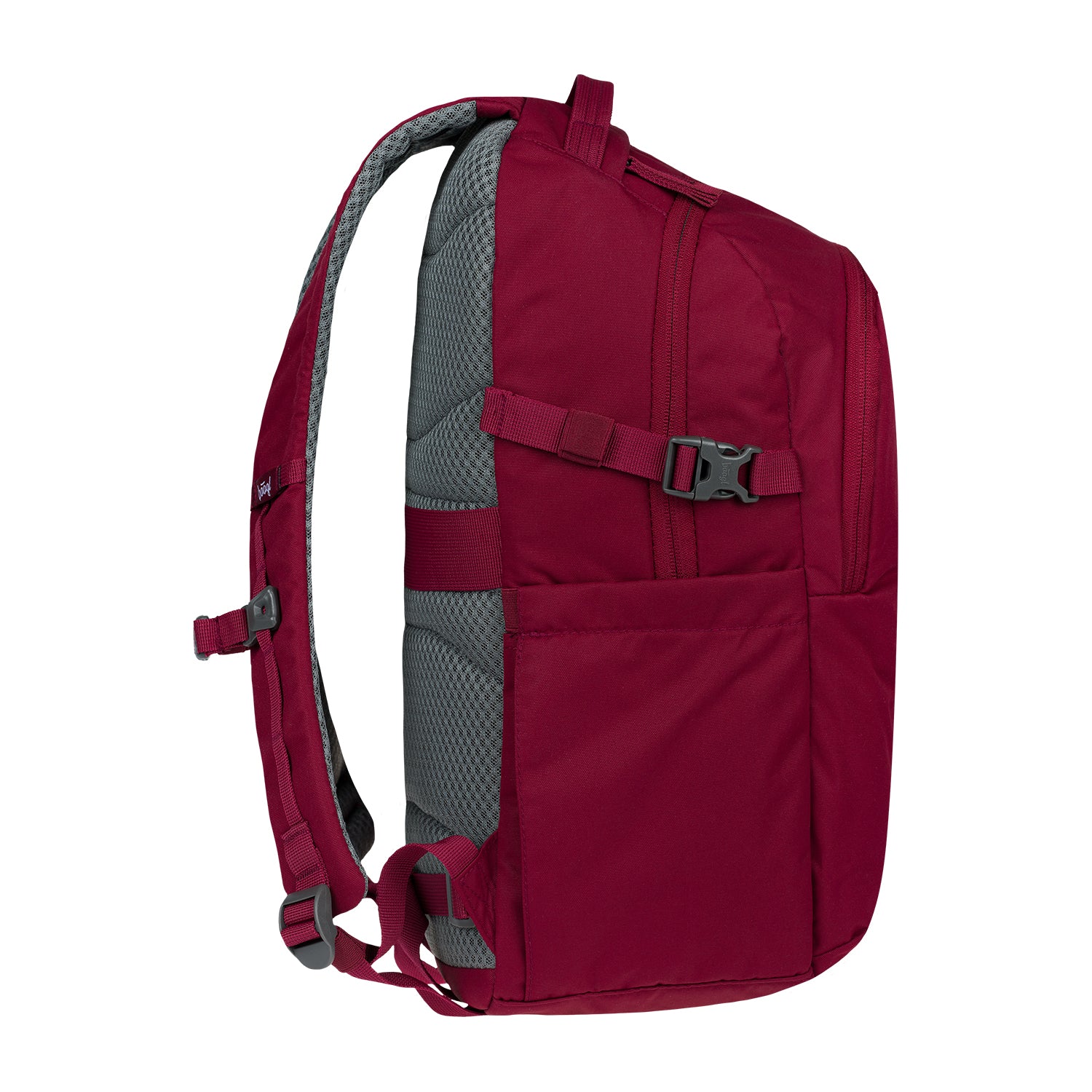 baagl-dash-burgundy-sac-dos-24-l-bordeaux image 4
