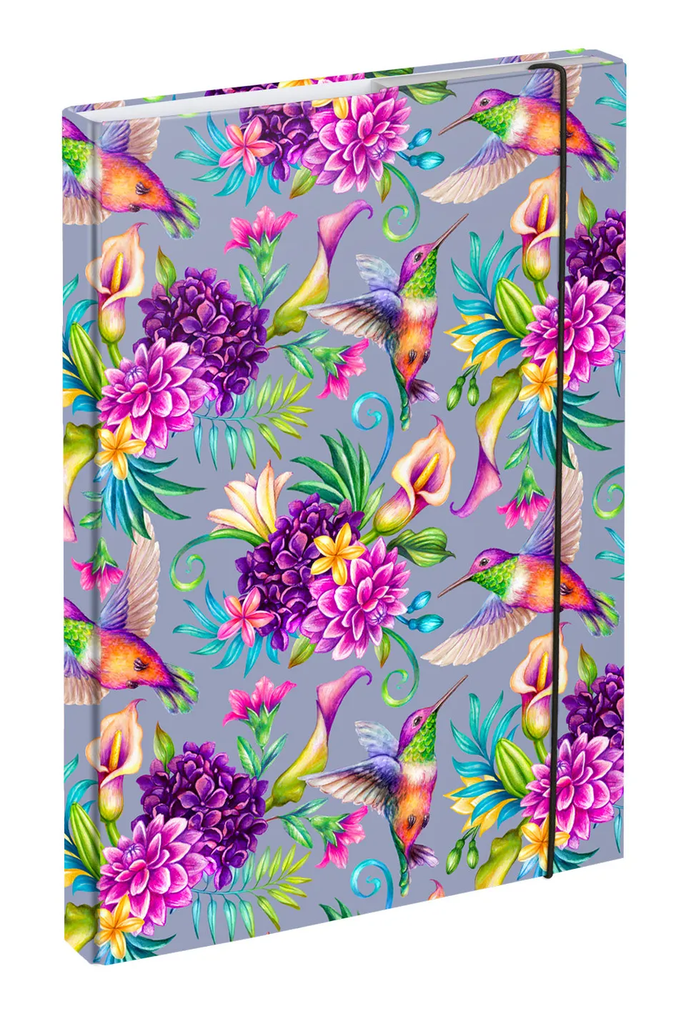 baagl-hummingbird-chemise-a4-lastique-colibri image 1