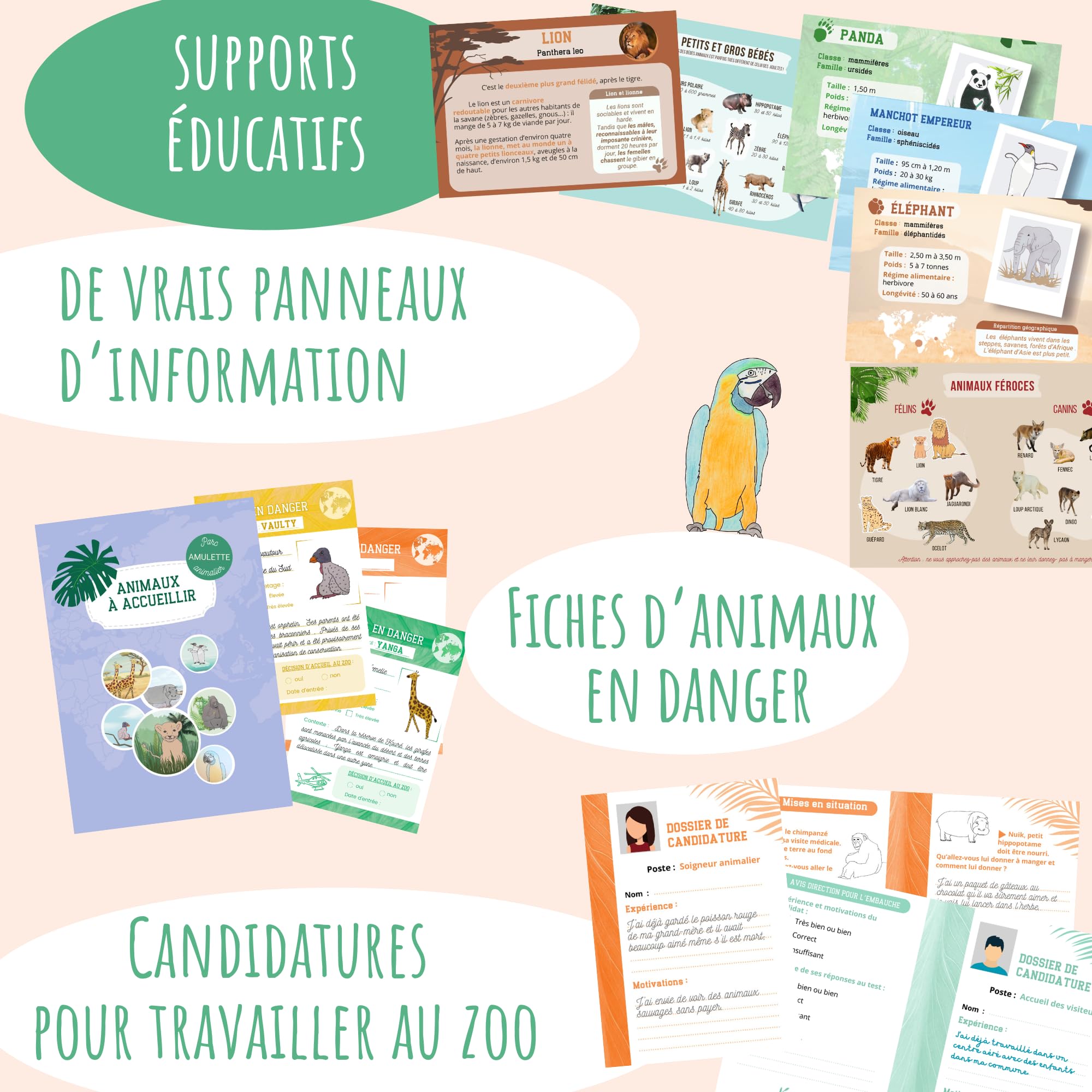amulette-mission-au-zoo-kit-jeu-50-accessoires-6-10-ans-mzoo image 5