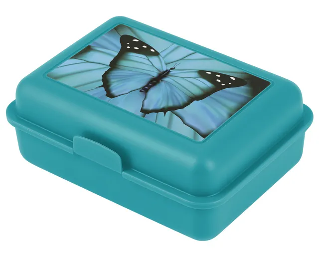 baagl-butterfly-bo-te-go-ter-enfant-bleue-plastique image 1