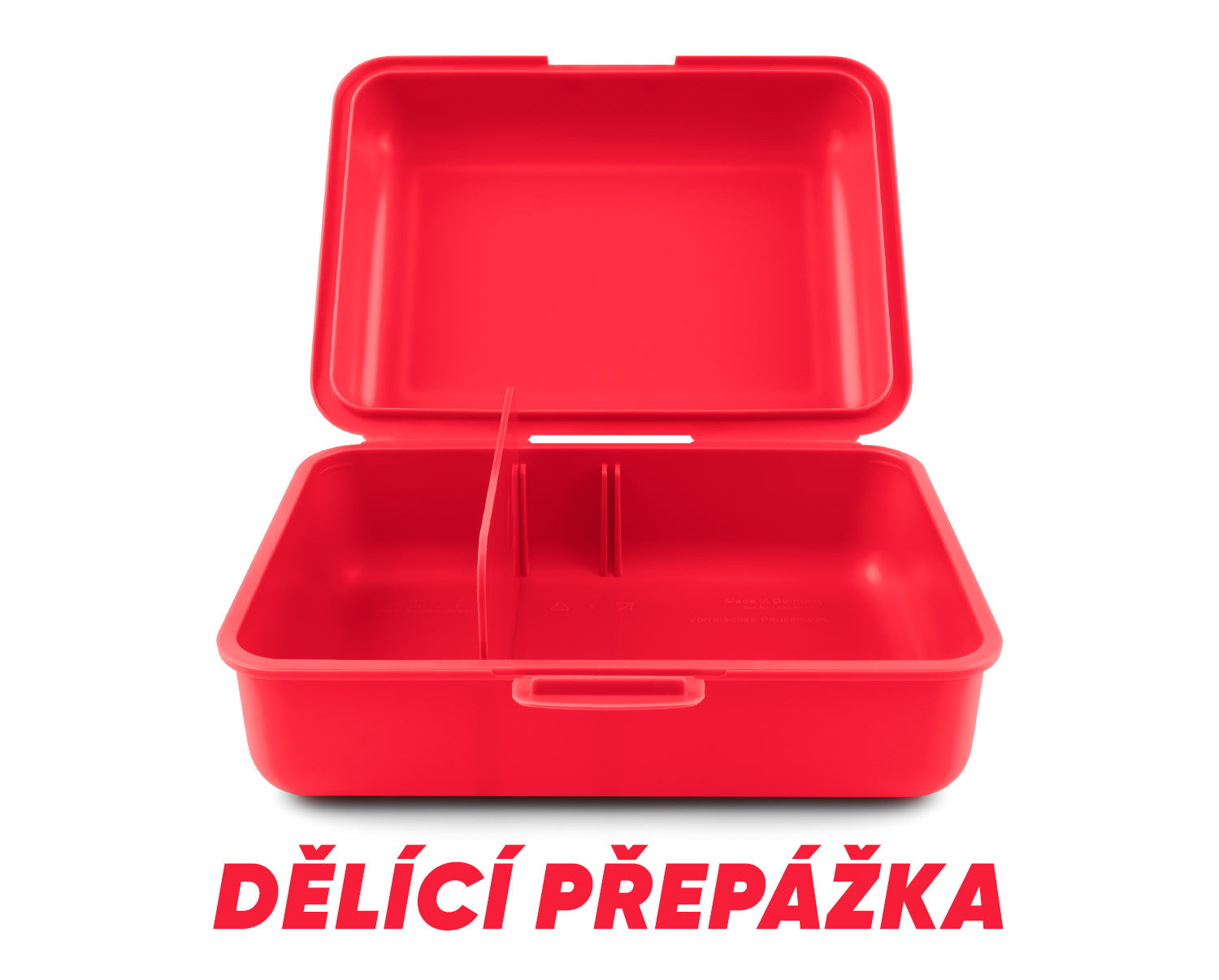 baagl-cat-lunch-box-bo-te-go-ter-motif-chat image 4