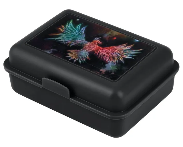 baagl-phoenix-bo-te-lunch-noire-avec-compartiment image 1