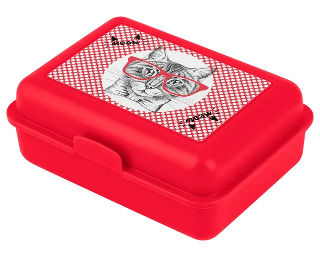 baagl-cat-lunch-box-bo-te-go-ter-motif-chat image 1