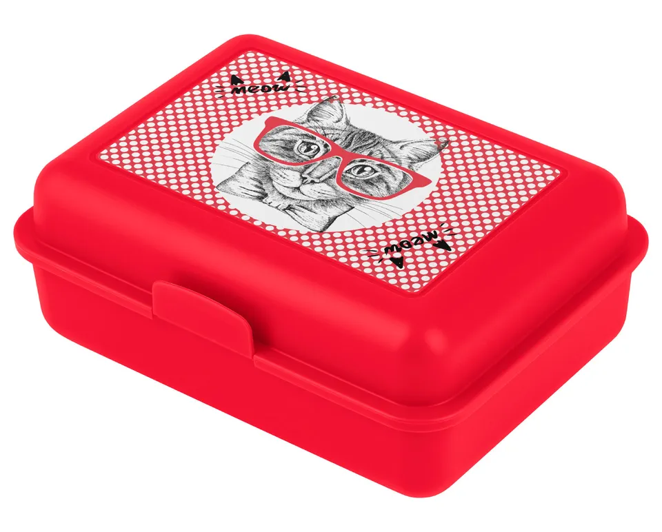 baagl-cat-lunch-box-bo-te-go-ter-motif-chat image 1