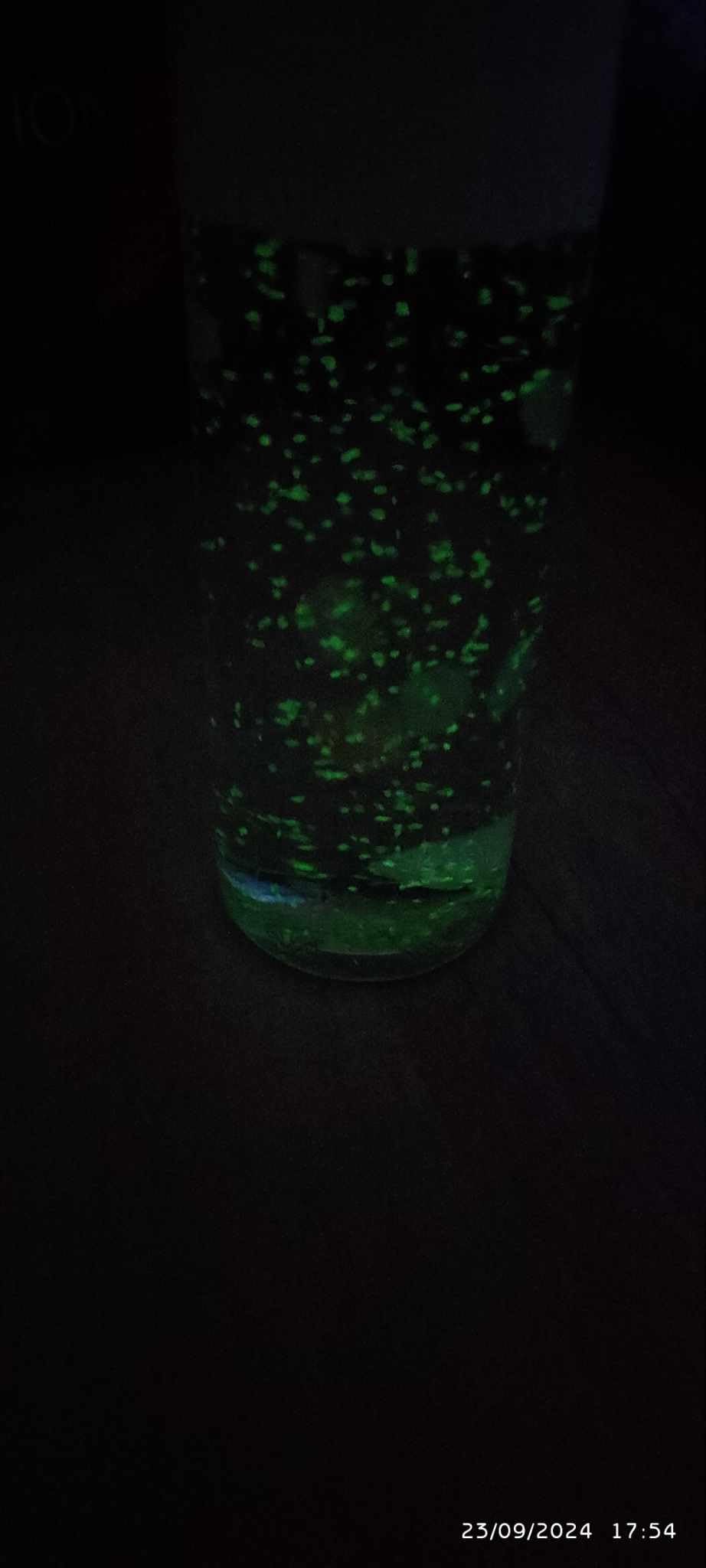 Adorée le soir
