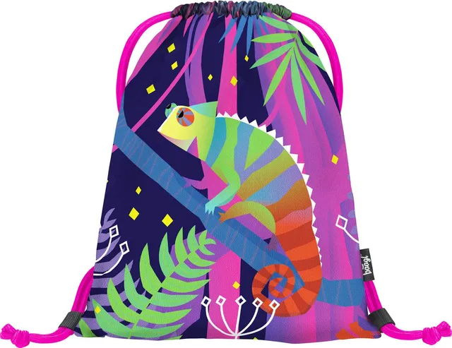 baagl-gym-sacks-chameleon-sac-de-sport-lavable image 1
