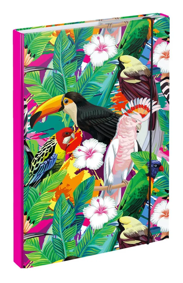 baagl-toucan-chemise-a4-lastique-toucan image 1
