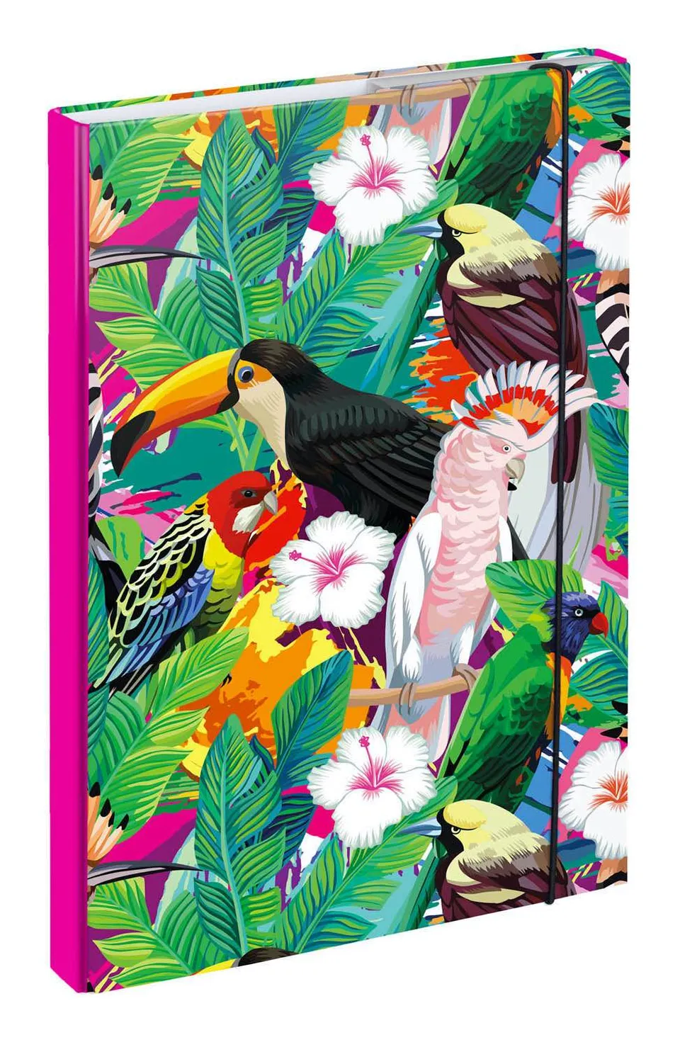 baagl-toucan-chemise-a4-lastique-toucan image 1