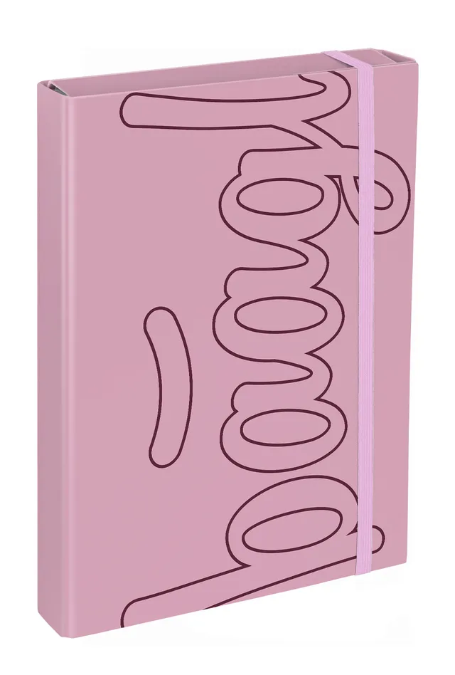 baagl-jumbo-chemise-cole-a4-rose-lastique-cahiers image 1