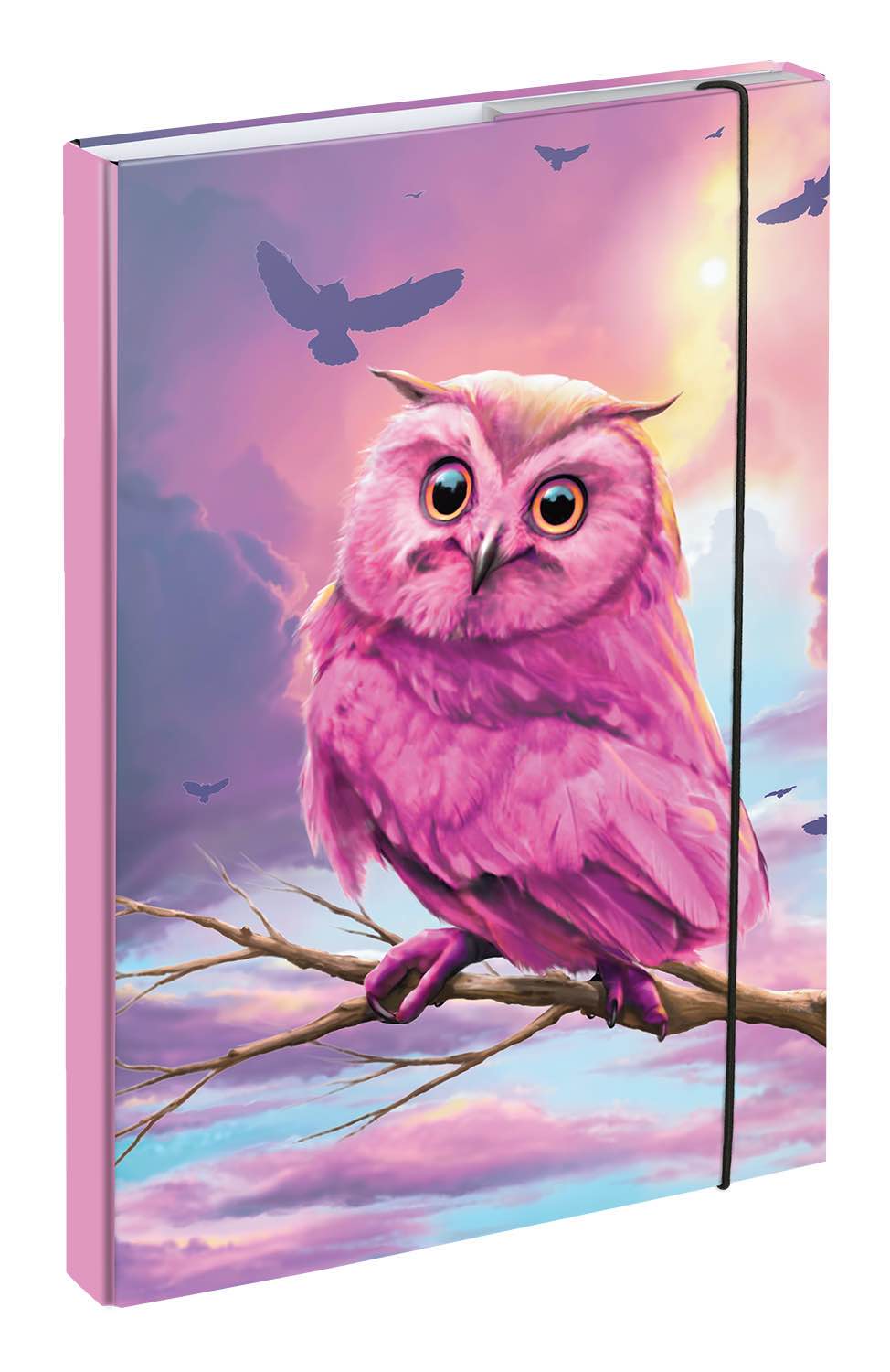 baagl-notebook-folders-chemise-a4-owl-hibou image 1