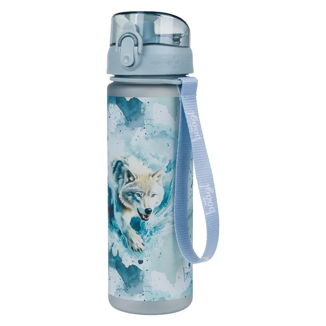 baagl-polar-gourde-tritan-500-ml-sans-bpa-avec-filtre image 1