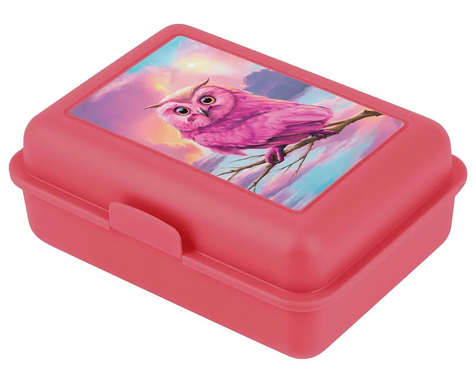 baagl-lunch-boxes-bo-te-go-ter-owl-hibou-rose-compartiment image 1