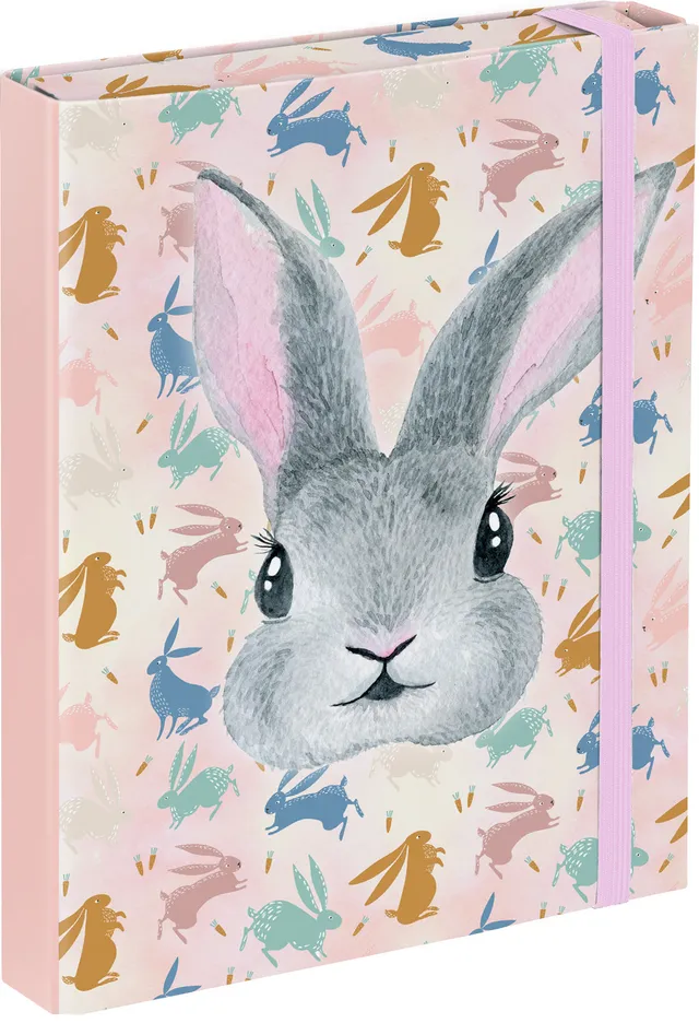 baagl-bunny-chemise-a5-lapin-lastique image 1