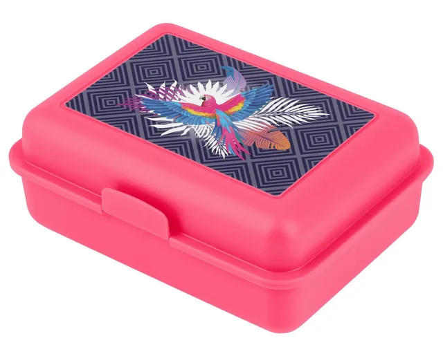 baagl-lunch-box-parrot-plastique-compartiment image 1