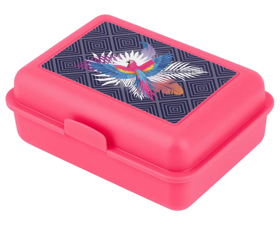 baagl-lunch-box-parrot-plastique-compartiment image 1