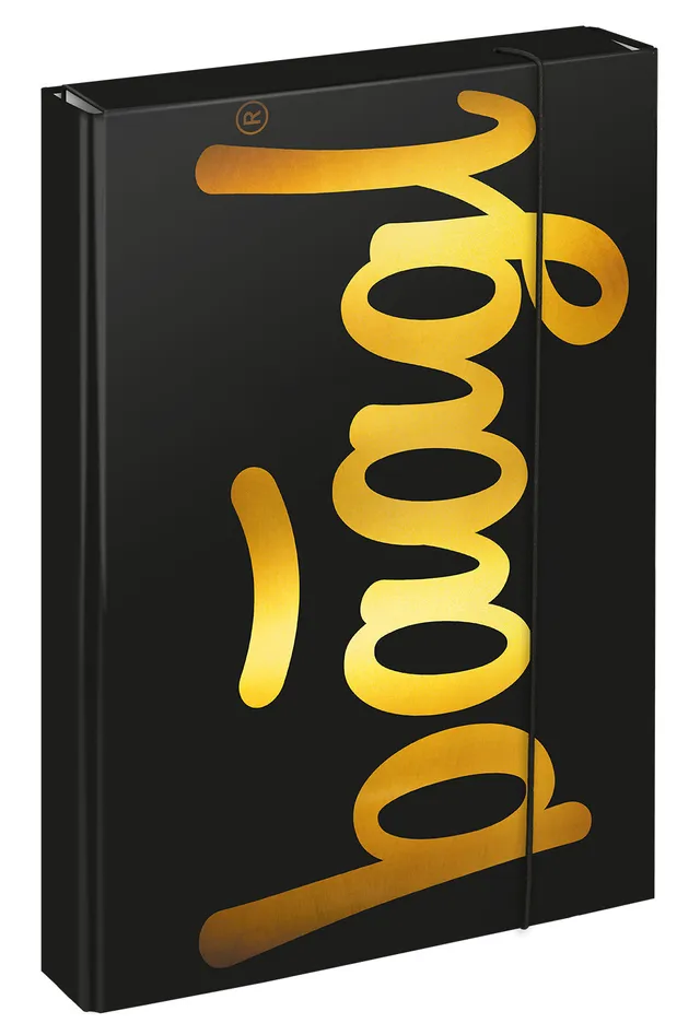 baagl-jumbo-gold-chemise-a4-lastique image 1