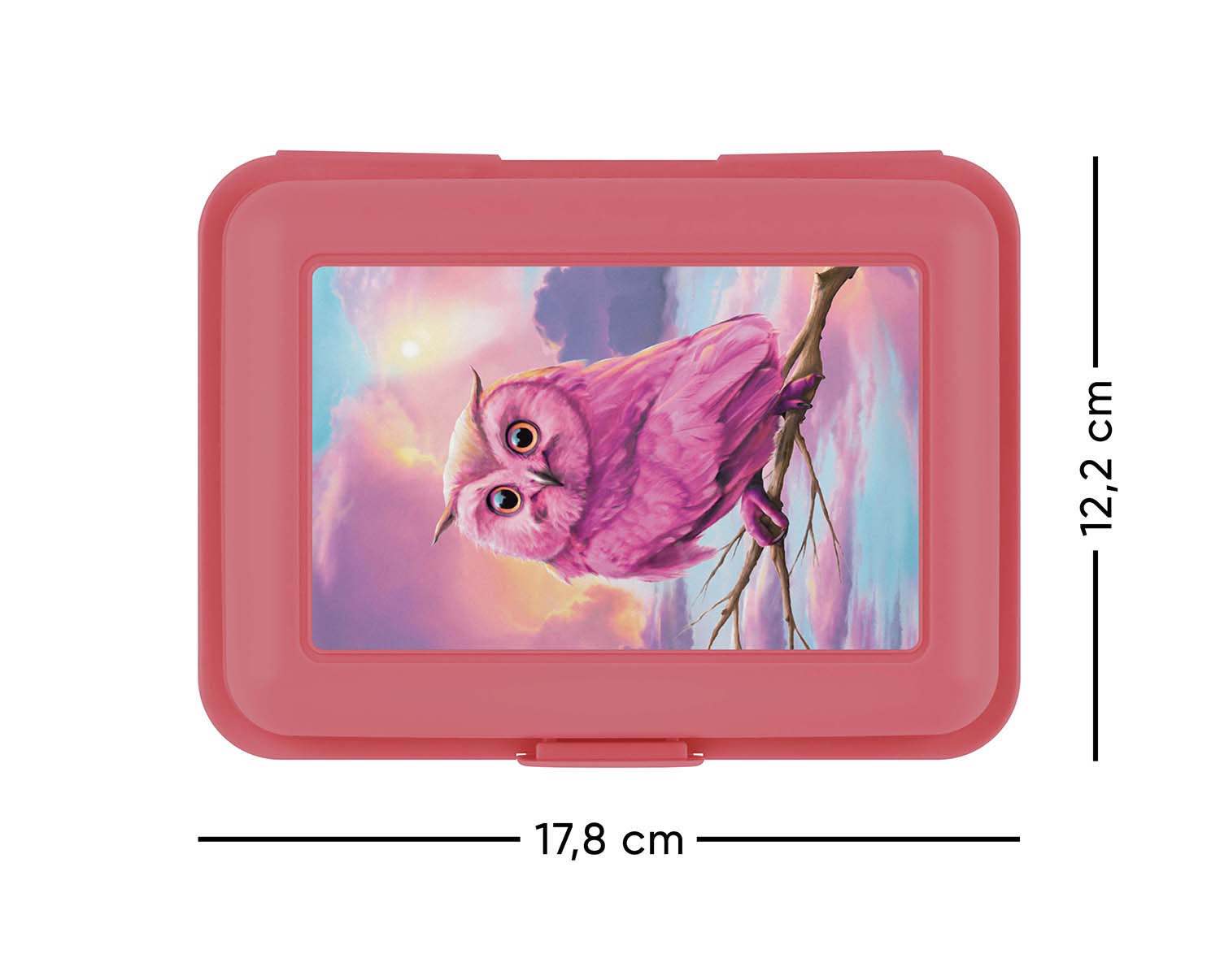 baagl-lunch-boxes-bo-te-go-ter-owl-hibou-rose-compartiment image 2
